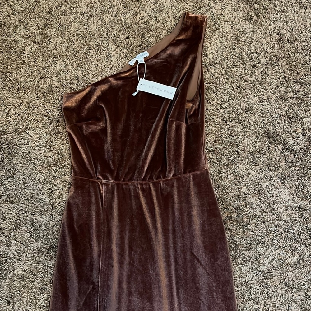 Baltic born velvet rose one shoulder dress